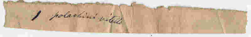 Biglietto2_Retro_10.jpg