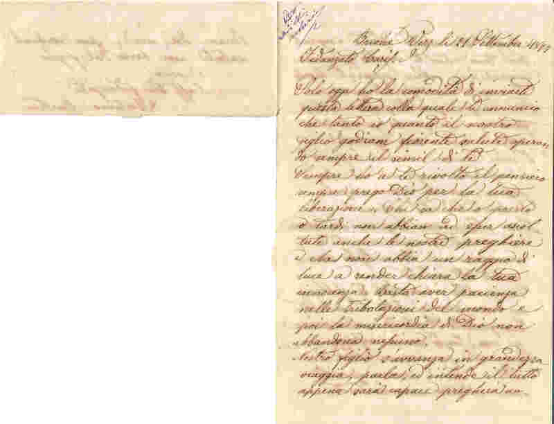 Foglia 2_a_10.jpg
