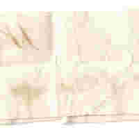 Biglietto1_Retro_Parte2_10.jpg