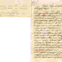 Foglia 2_a_10.jpg