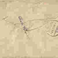 busta_2_10.jpg